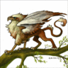 Nefreet