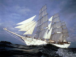 algrein