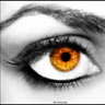 Jurph