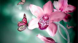 MadameButterfly