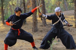 CraneFistFIghter