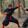 CraneFistFIghter