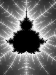 alphaomega