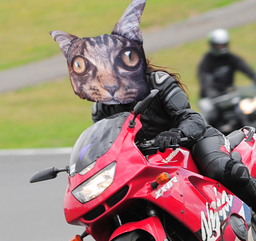 Madcat