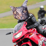 Madcat