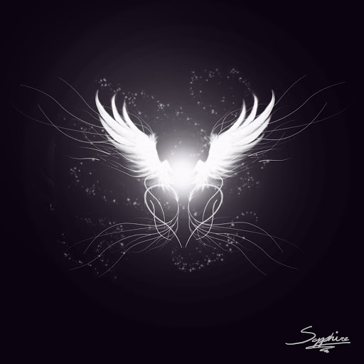 angelfirevt