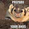 Bitter_Badger