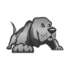 IronDog