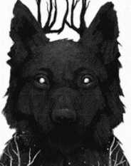 gocrywolf01