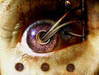Ionisus
