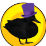 mystic_duck