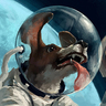 ShuttleDog