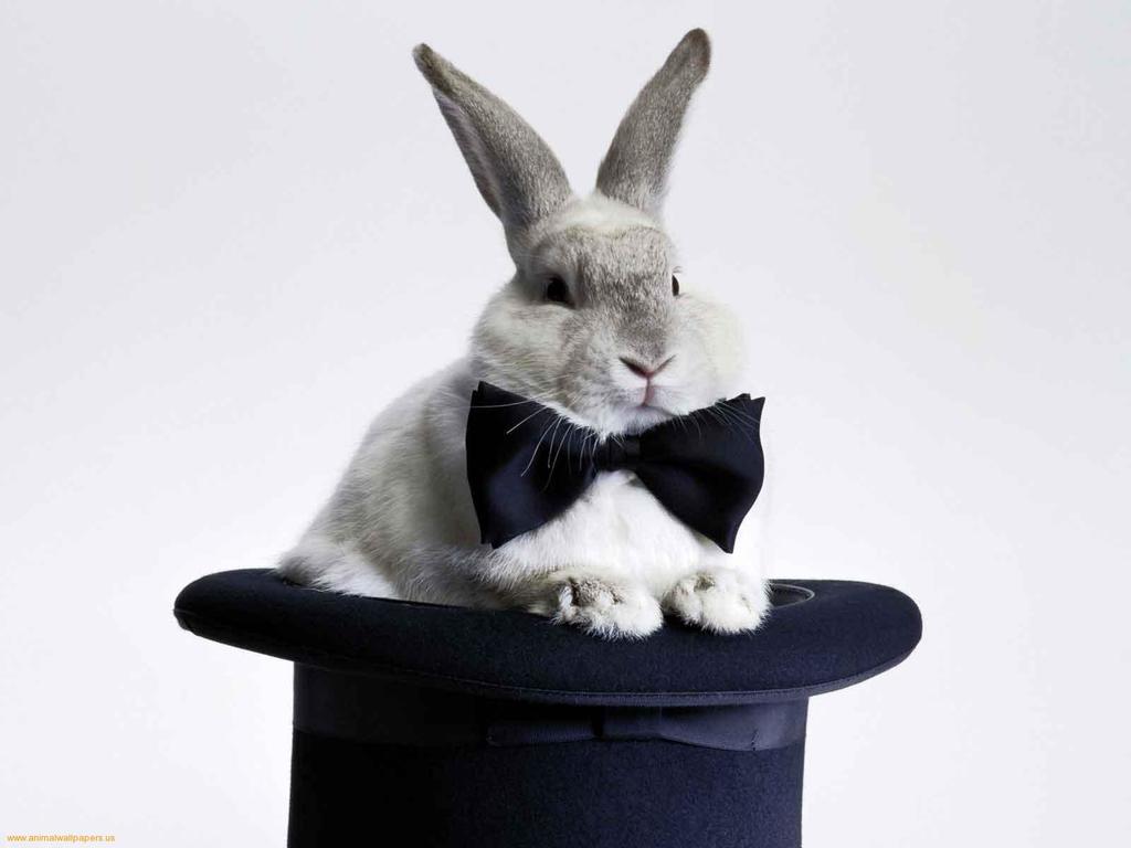 TopHat