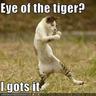 TigerAvatar