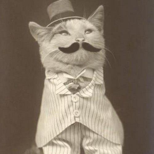 henrystcl