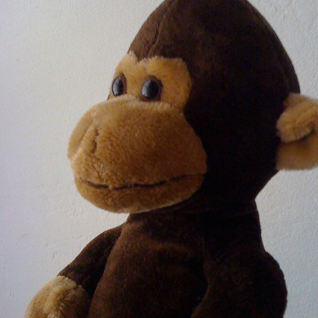 Mr_Monkey