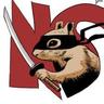 Novafix