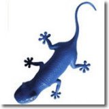 NeoBlue42