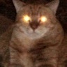 Maleketh