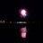 thomas_saul79