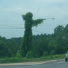 Uncle Kudzu