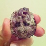 Trapturtle