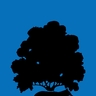WolfBro87