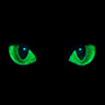 ShadowsDawn