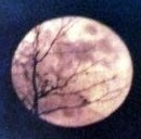 Moon_Goddess