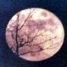 Moon_Goddess