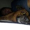 maxi_chaves1