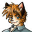 arkynfox