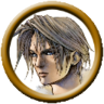 Tygaran