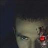 MisterRee