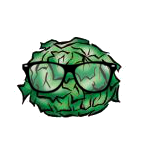 Sallad