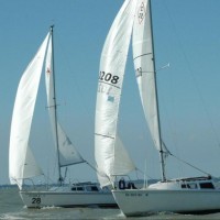 SailingGuy