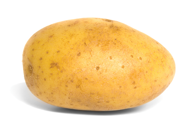 SmallPotato