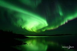 Aurorae