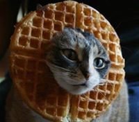 HOGWAFFLES