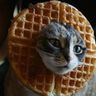 HOGWAFFLES