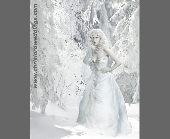 Ice Queen Ice Queen
