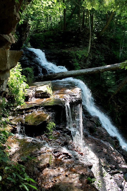 rockwoodwater