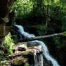 rockwoodwater