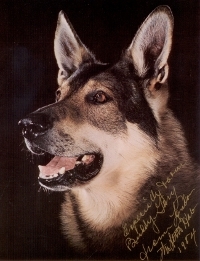 Vaitalla