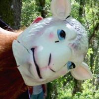 ewstolle