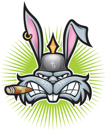 rabbit37