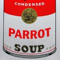 ParrotSoup
