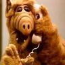 Alf1268