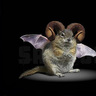 DeviantMonkey