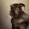 Digitalsatyr